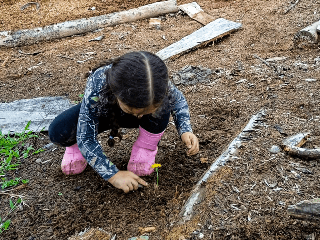 Contribuyendo al futuro verde: La Corporación de Acueducto de Altavista siembra árboles en búsqueda de un mejor medio ambiente.